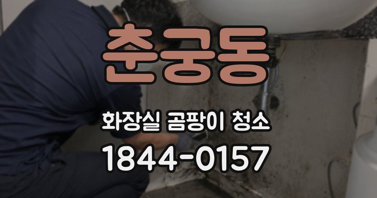 춘궁동 화장실 곰팡이 청소