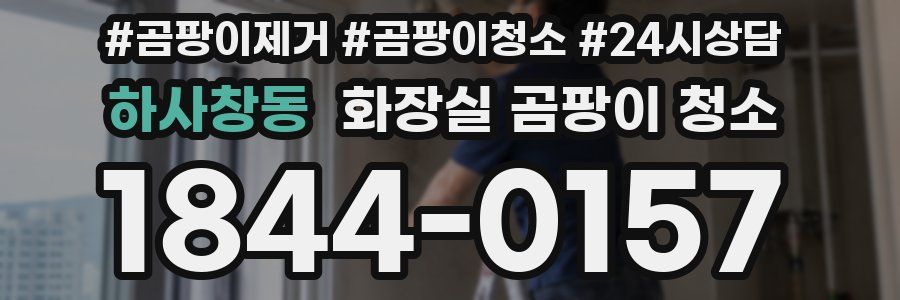 하사창동 화장실 곰팡이 청소
