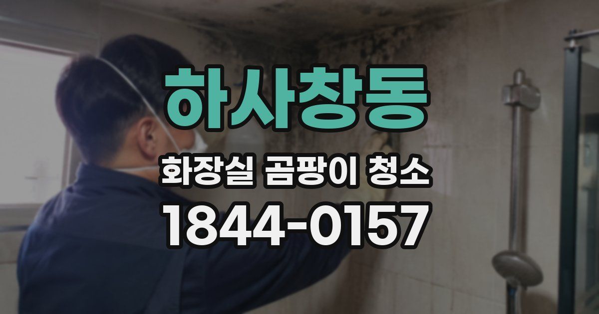 하사창동 화장실 곰팡이 청소