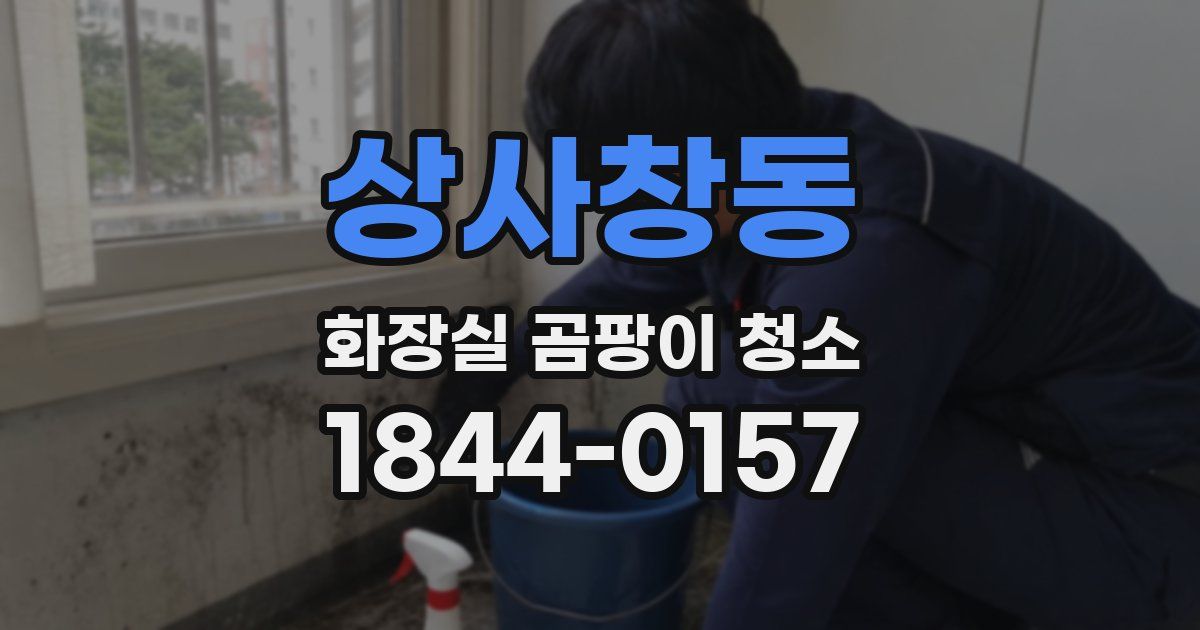 상사창동 화장실 곰팡이 청소