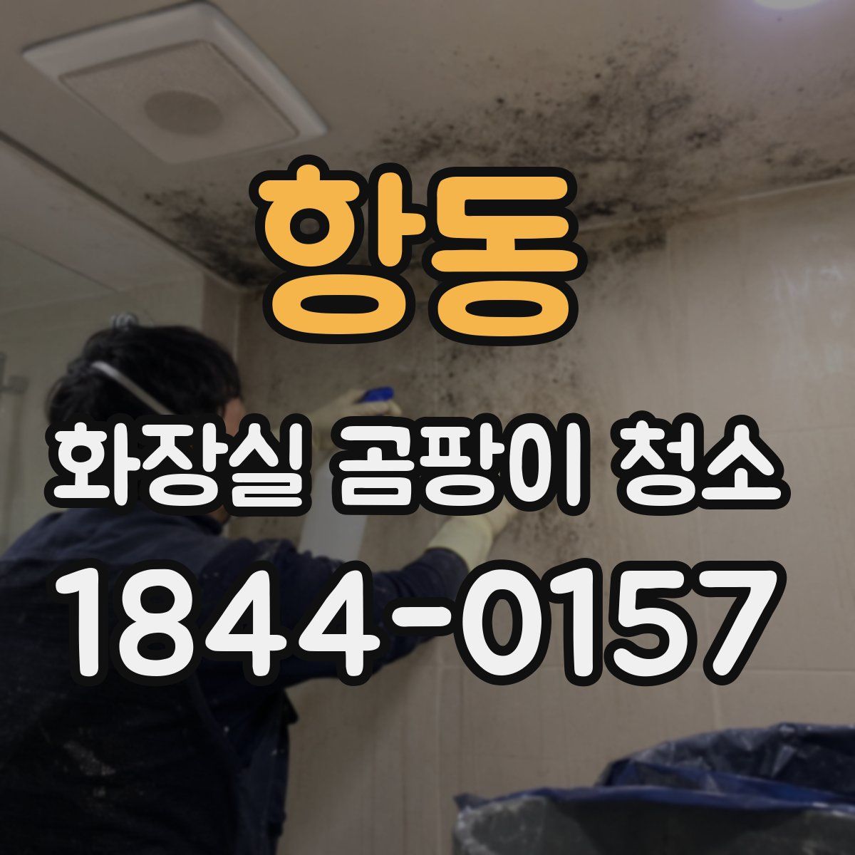 항동 화장실 곰팡이 청소