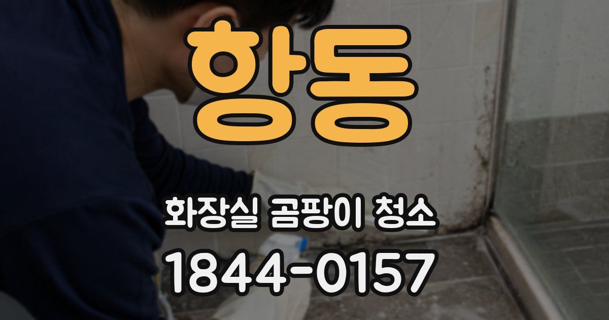 항동 화장실 곰팡이 청소