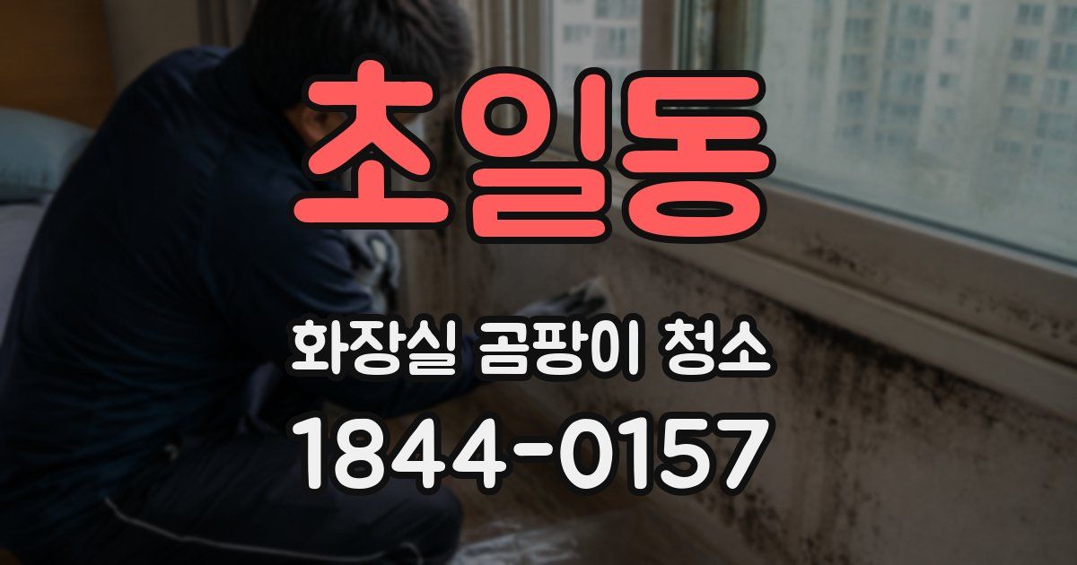 초일동 화장실 곰팡이 청소