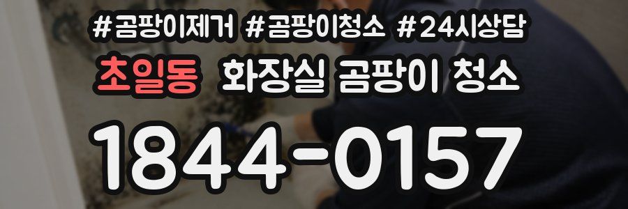 초일동 화장실 곰팡이 청소