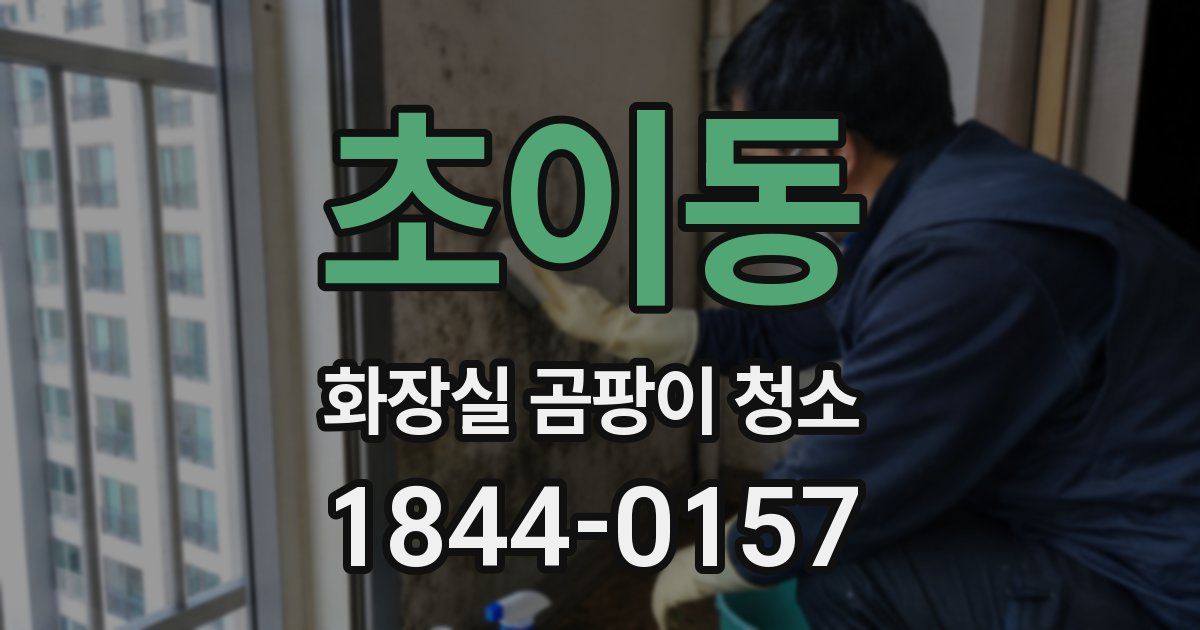 초이동 화장실 곰팡이 청소