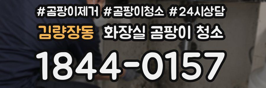 김량장동 화장실 곰팡이 청소