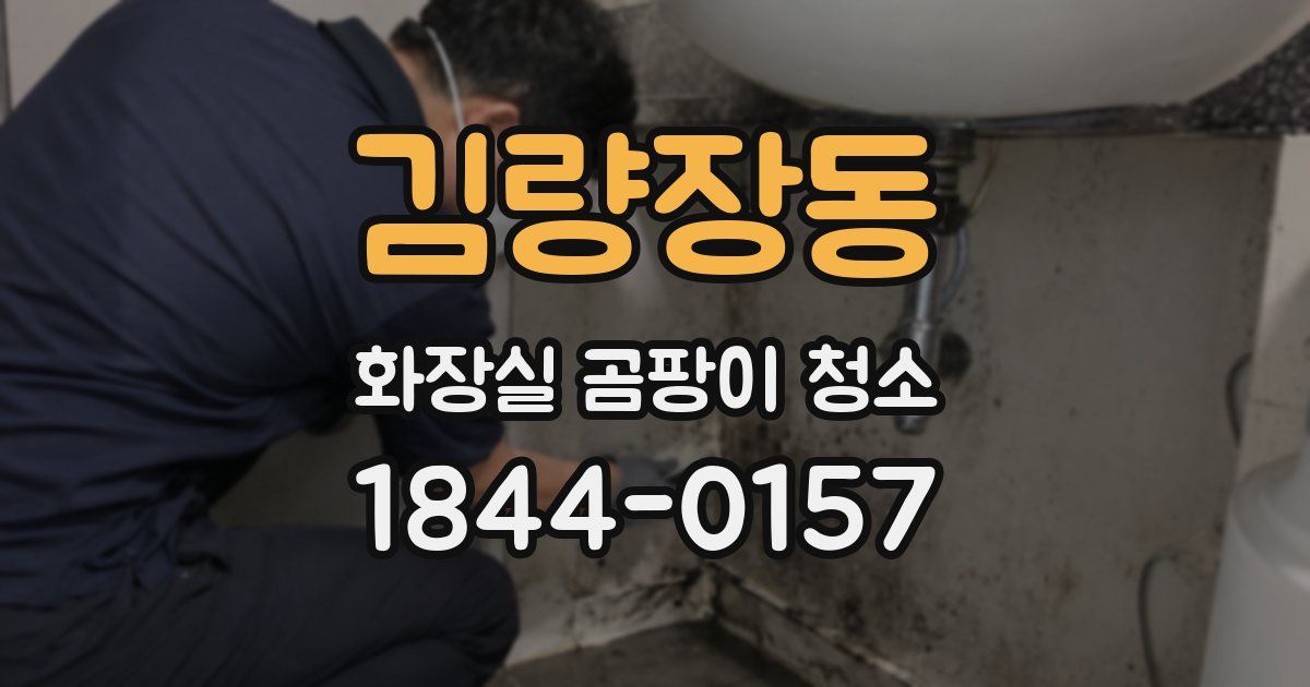 김량장동 화장실 곰팡이 청소