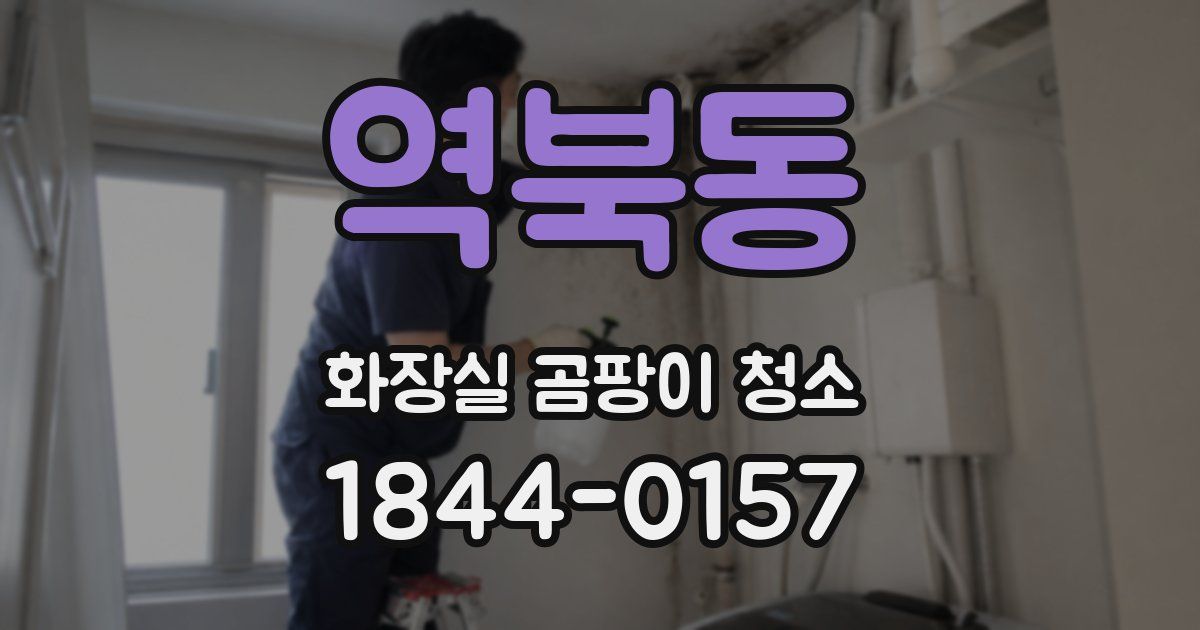 역북동 화장실 곰팡이 청소