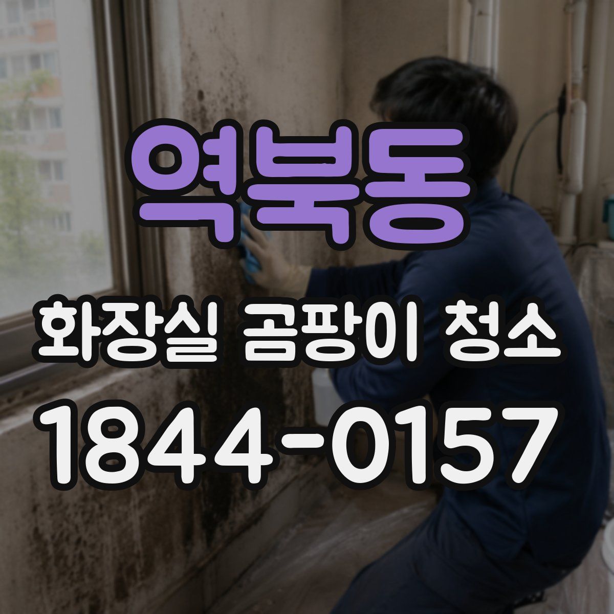 역북동 화장실 곰팡이 청소