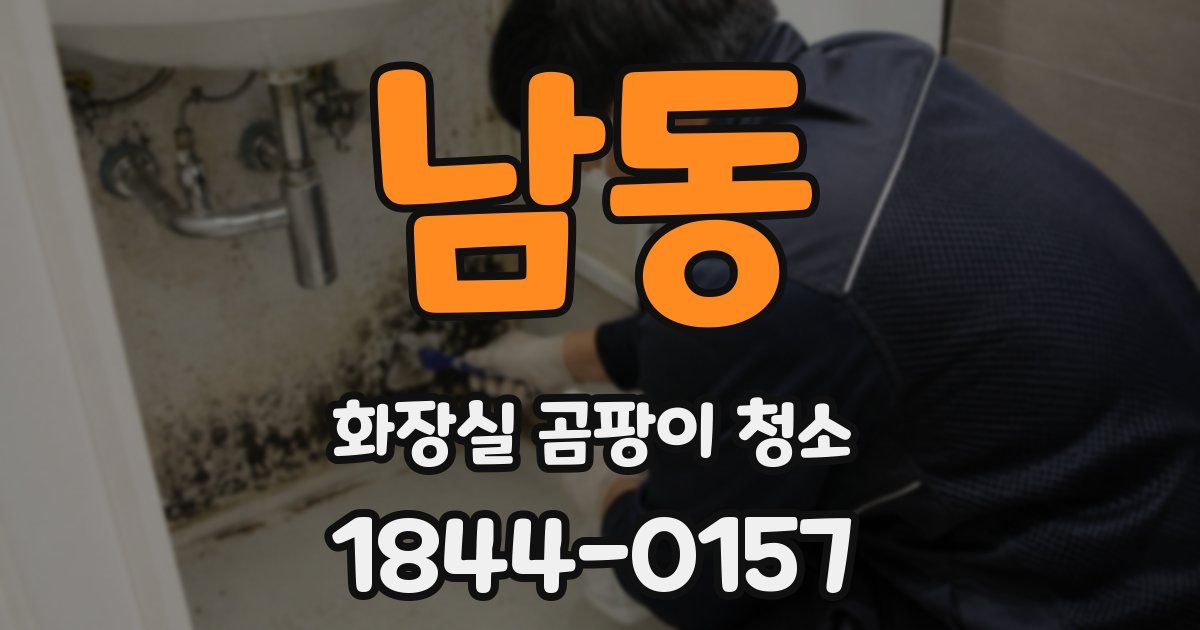 남동 화장실 곰팡이 청소