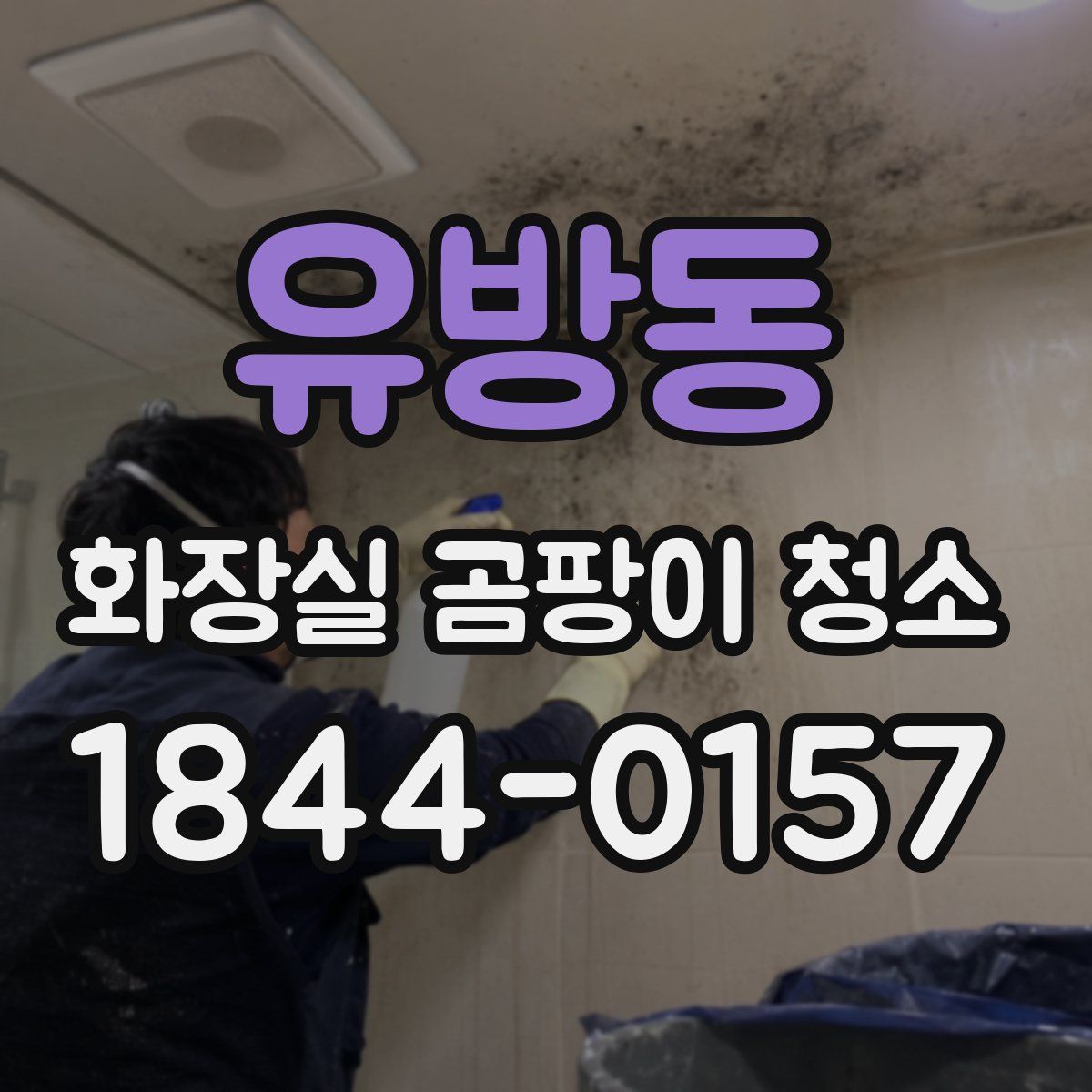 유방동 화장실 곰팡이 청소