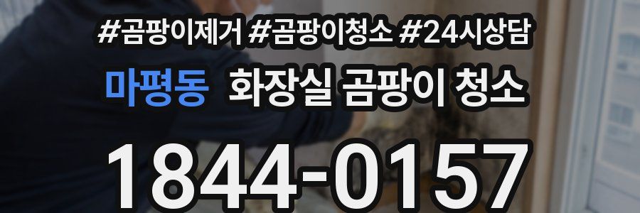 마평동 화장실 곰팡이 청소