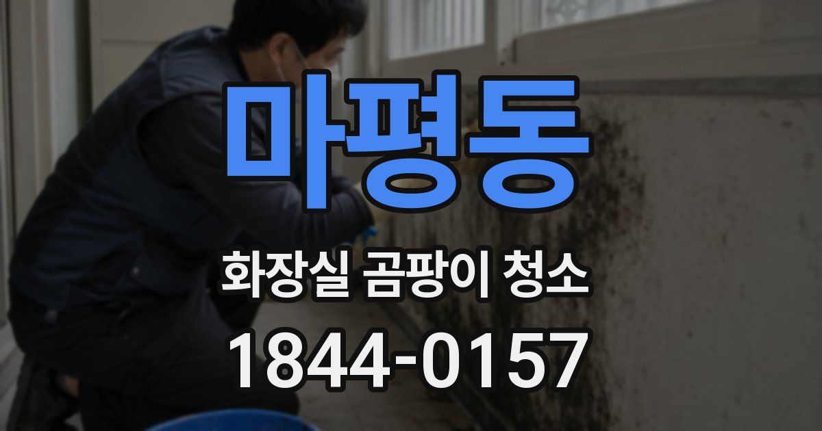 마평동 화장실 곰팡이 청소