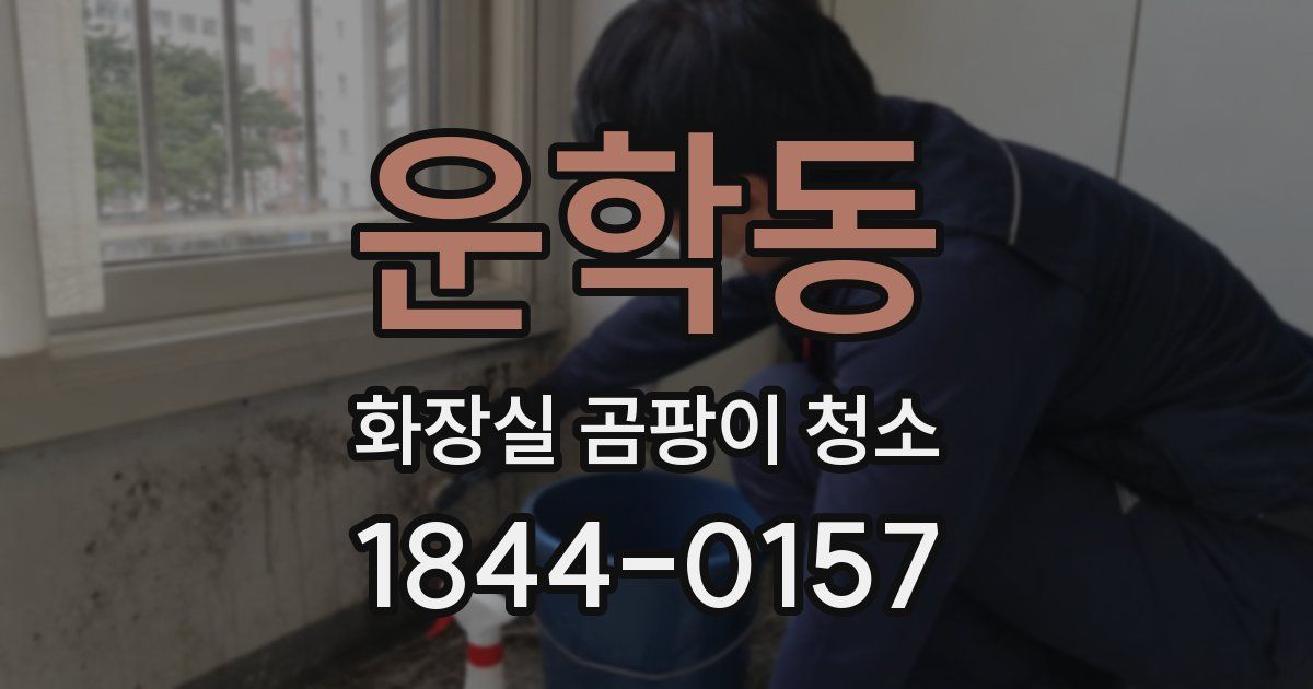 운학동 화장실 곰팡이 청소
