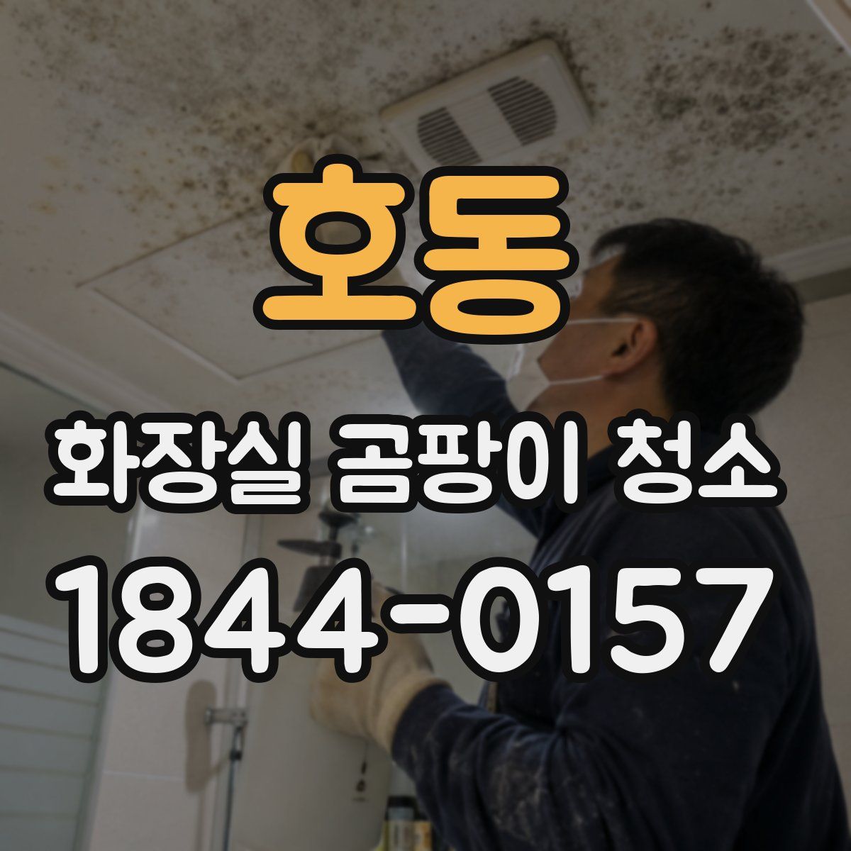 호동 화장실 곰팡이 청소