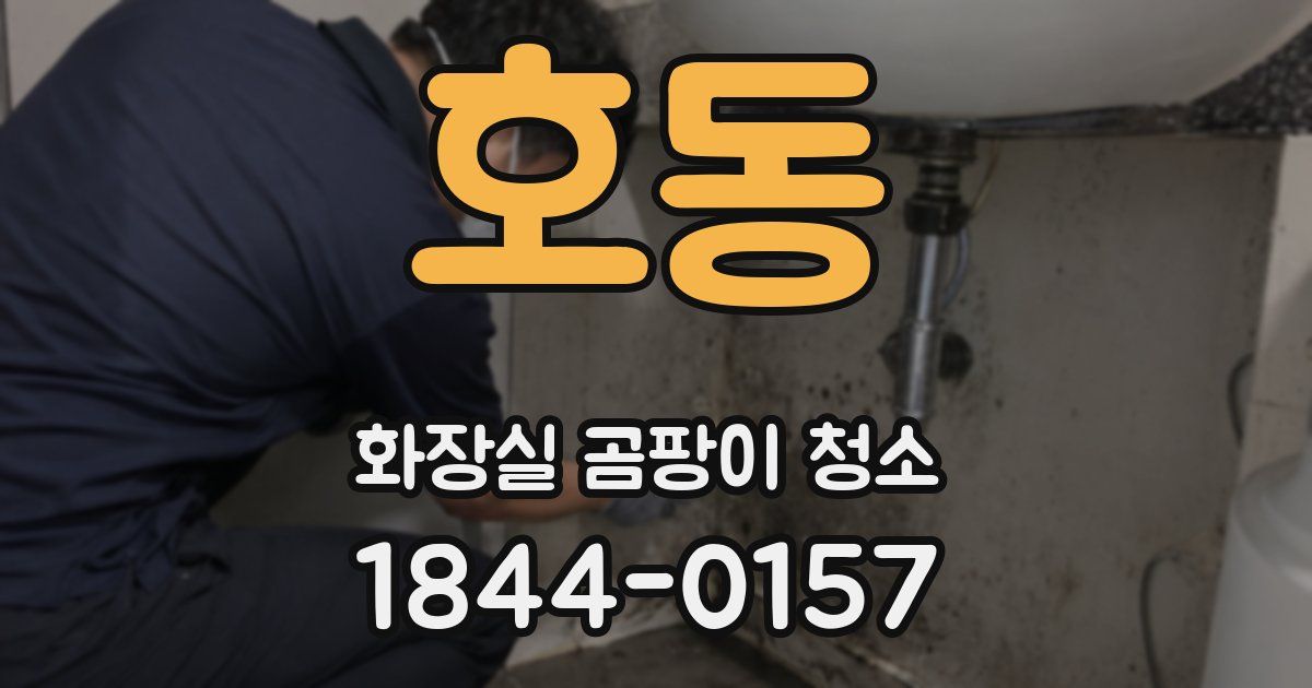 호동 화장실 곰팡이 청소
