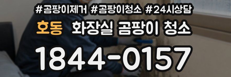 호동 화장실 곰팡이 청소