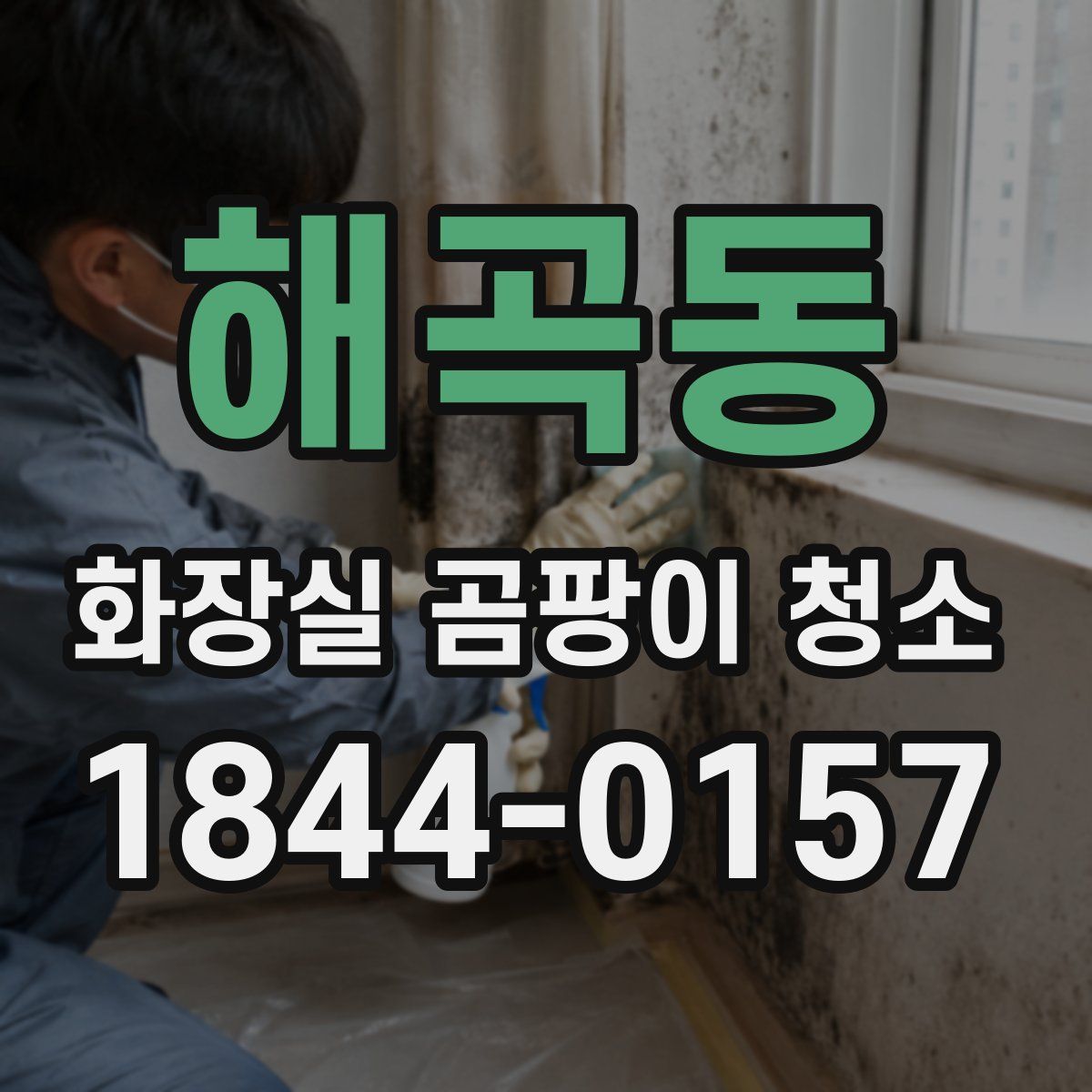 해곡동 화장실 곰팡이 청소