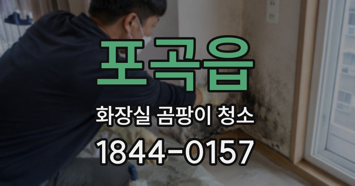 포곡읍 화장실 곰팡이 청소