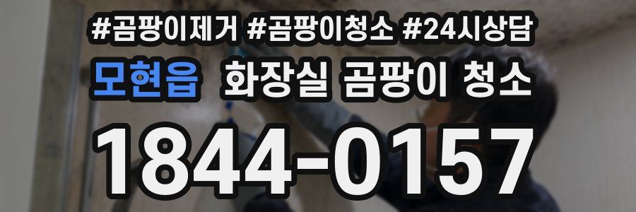 모현읍 화장실 곰팡이 청소