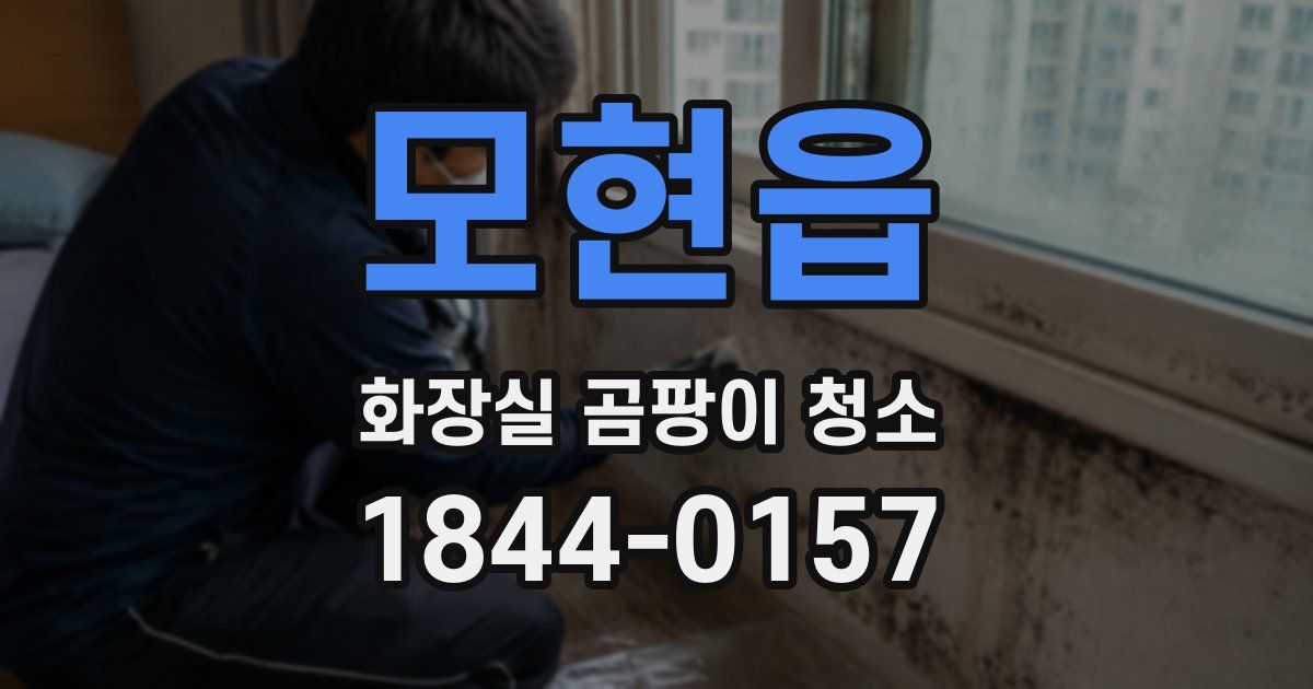 모현읍 화장실 곰팡이 청소