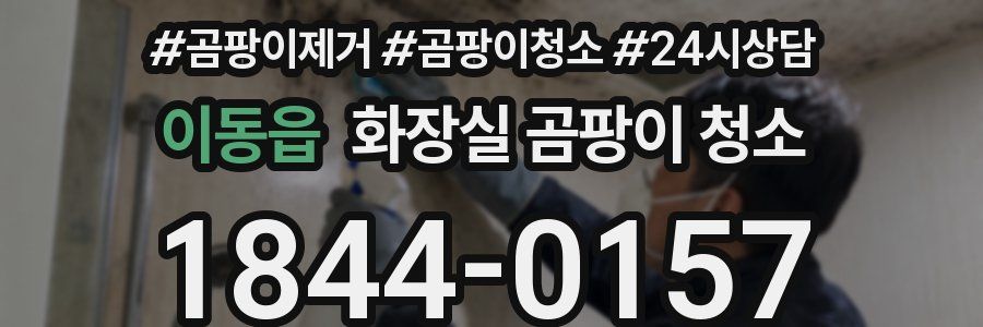 이동읍 화장실 곰팡이 청소