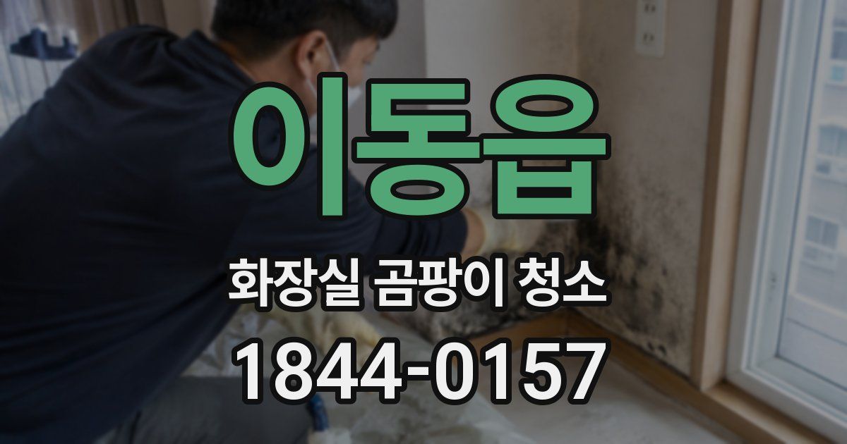 이동읍 화장실 곰팡이 청소