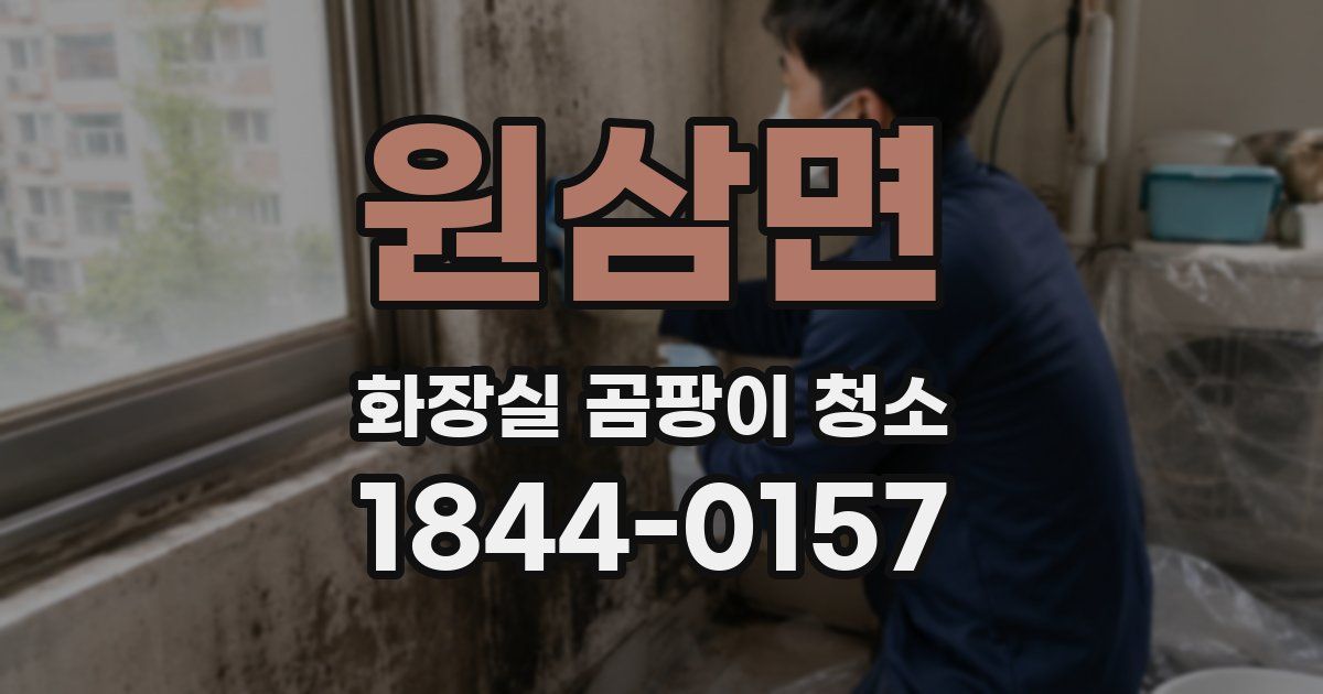 원삼면 화장실 곰팡이 청소