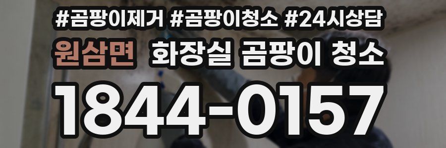 원삼면 화장실 곰팡이 청소