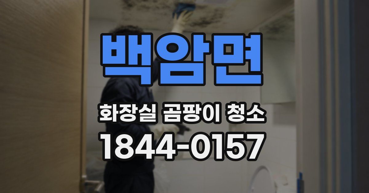 백암면 화장실 곰팡이 청소