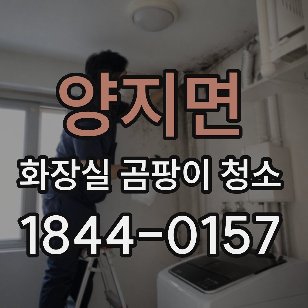 양지면 화장실 곰팡이 청소