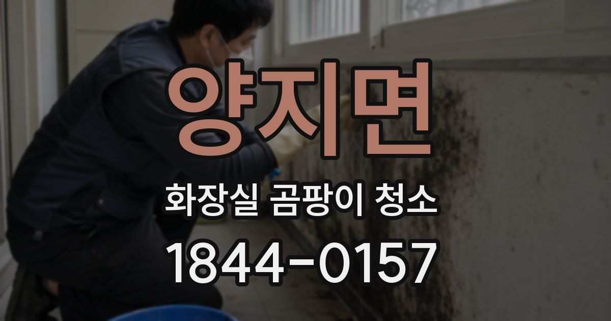 양지면 화장실 곰팡이 청소