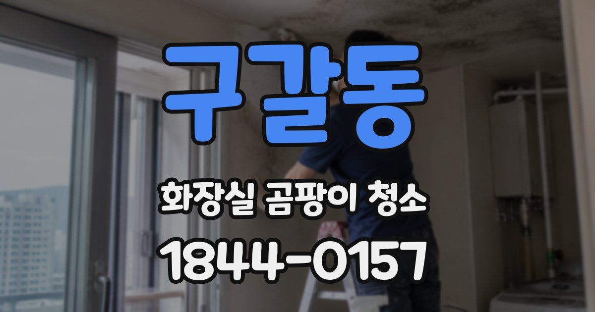 구갈동 화장실 곰팡이 청소