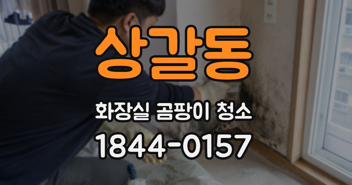 상갈동 화장실 곰팡이 청소