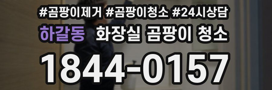 하갈동 화장실 곰팡이 청소