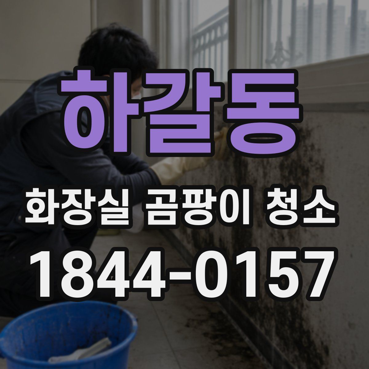 하갈동 화장실 곰팡이 청소