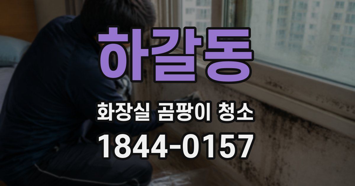 하갈동 화장실 곰팡이 청소