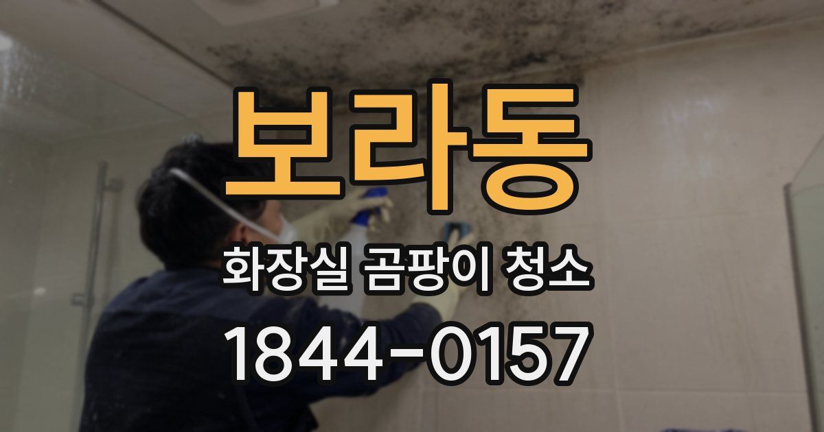 보라동 화장실 곰팡이 청소