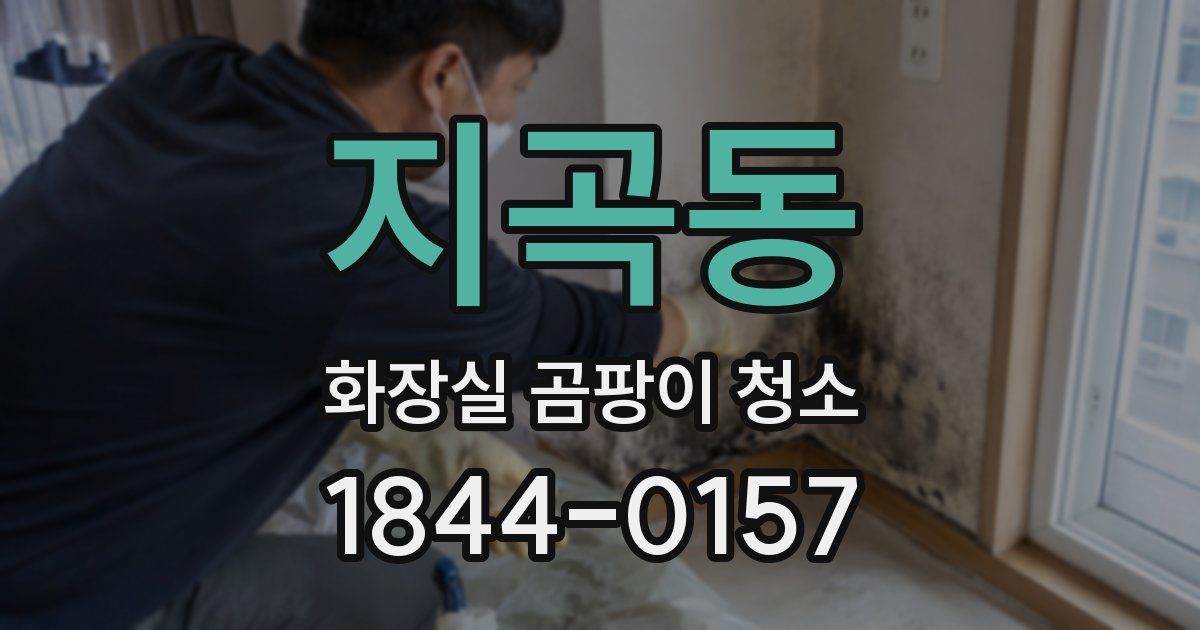 지곡동 화장실 곰팡이 청소