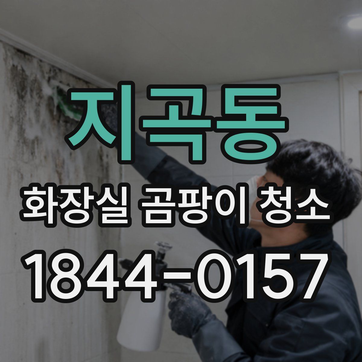 지곡동 화장실 곰팡이 청소