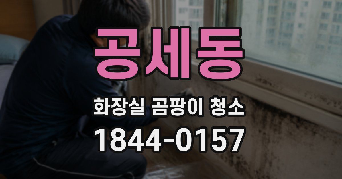 공세동 화장실 곰팡이 청소