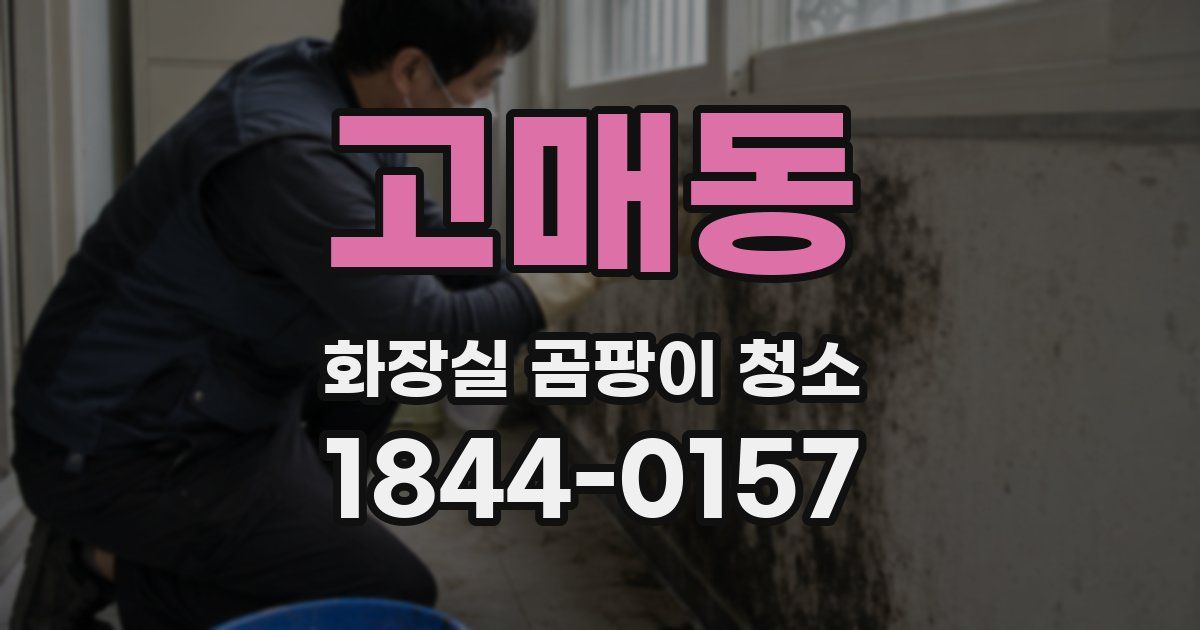고매동 화장실 곰팡이 청소