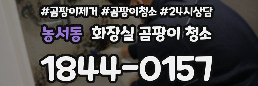 농서동 화장실 곰팡이 청소