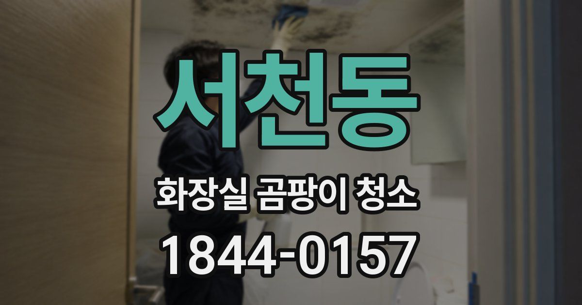 서천동 화장실 곰팡이 청소