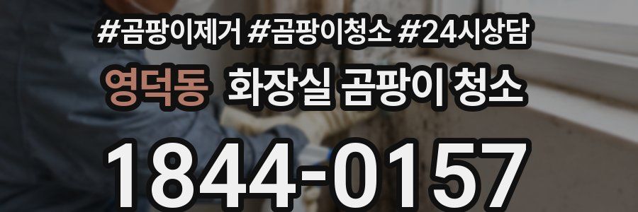 영덕동 화장실 곰팡이 청소