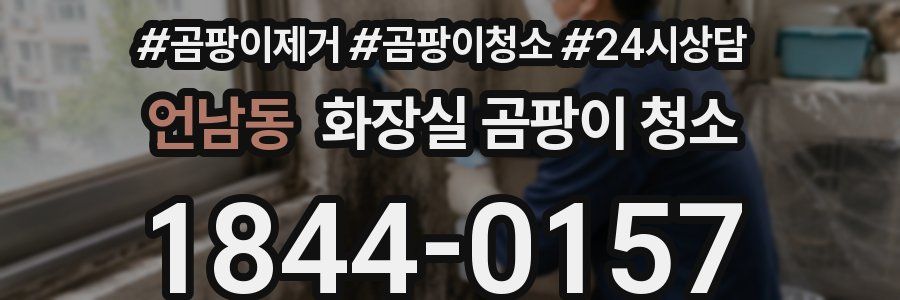 언남동 화장실 곰팡이 청소