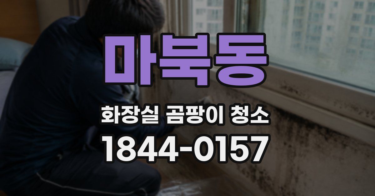 마북동 화장실 곰팡이 청소