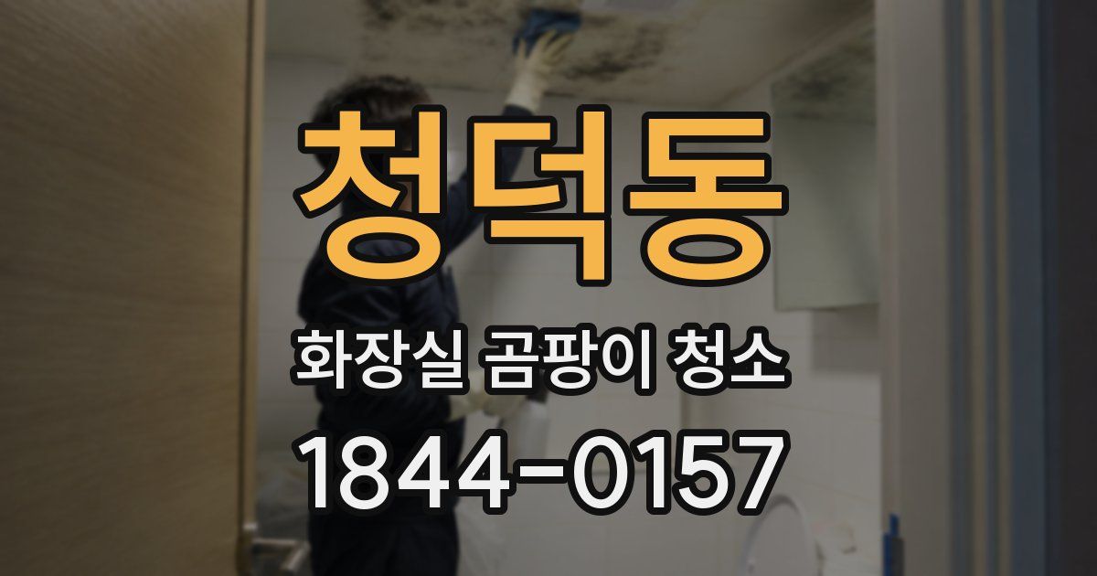 청덕동 화장실 곰팡이 청소