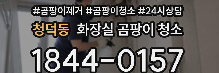 청덕동 화장실 곰팡이 청소