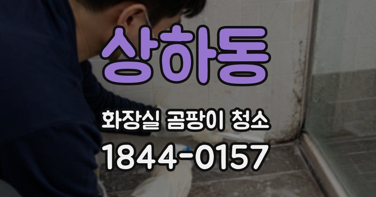상하동 화장실 곰팡이 청소